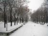 06.12.1999: Zhovtnevyi Square