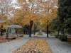 10.10.2000: Zhovtnevyi Square