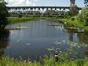 17.06.2005: Near the bridge over the Dnipro