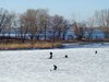 06.01.2006: Fishermen at the Dnipro