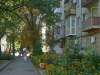 03.09.2014: In the yard of 31/6 Pershotravneva street
