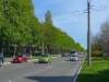 27.04.2017: Svoboda Avenue